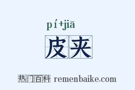 皮夹是什么意思的图片